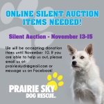 Online Silent Auction!