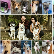 Dedicated Foster Home Feature