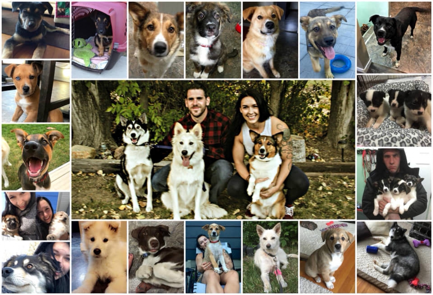 Dedicated Foster Home Feature
