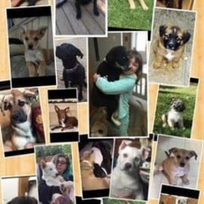 Deicated Foster Home Spotlight